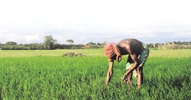 TDP demands immediate release of farm input subsidy